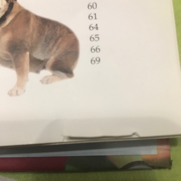 SOLD - Picture 4 of 5